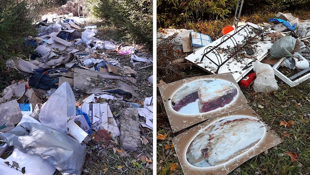 Zwei Klein-Lkw-Ladungen Müll fand der Revierleiter in einem Waldstück. (Bild: Leodolter/ÖBf, Krone KREATIV)