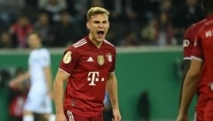 Ein Rottweiler: Joshua Kimmich (Bild: AFP or licensors)