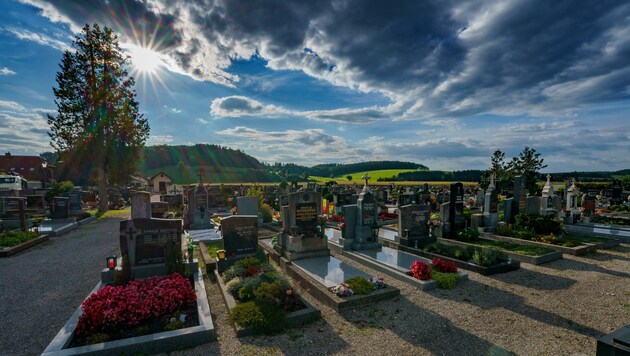 Auf dem Hauptfriedhof in St. Pölten kann man durchaus auch Ruhe bei Spaziergängen finden. (Bild: Josef Bollwein)