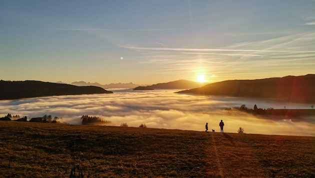 Blick vom Zammelsberg/Gurktal nach Feldkirchen - Villach Blick auf die Gerlitze, eingefangen von „Krone“Michaela Blasge.-Leserin (Bild: Michaela Blasge)