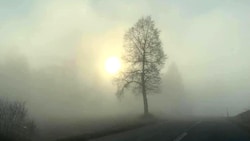 Nebel hat auch seine Reize, dem Sonnenlicht entwöhnte Oberösterreicher, die im Donauraum leben, können aber mittlerweile gerne einmal darauf verzichten. (Bild: Siegfried Möstl)