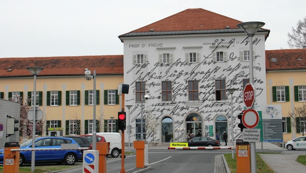 Der Tankstellen-Räuber wurde in das LKH Graz II Süd gebracht, wo er mit enormer Gewalt ein Fenster beschädigte. (Bild: Kronenzeitung)