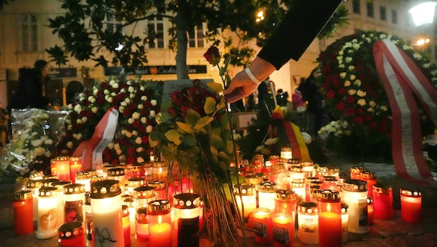 Commemoration of the victims of the terrorist attack a year ago in Vienna city center. (Bild: APA/GEORG HOCHMUTH)