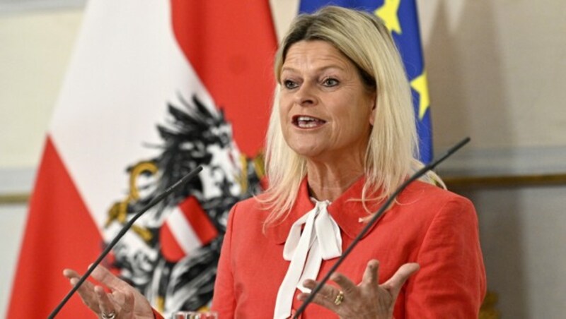 Verteidigungsministerin Klaudia Tanner (ÖVP) (Bild: APA/Hans Punz)