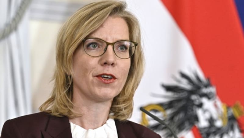 Infrastrukturministerin Leonore Gewessler (Bild: APA/Hans Punz)