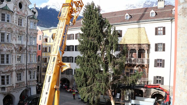 In der Innsbrucker Altstadt wurde am Mittwoch wieder der Christbaum aufgestellt. (Bild: IKM/W. Giuliani)