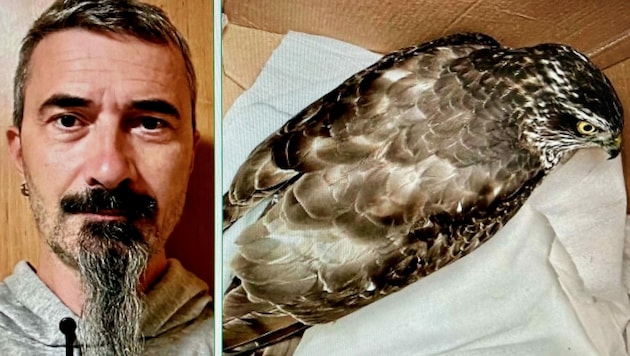 Polizist Uwe Unger brachte diesen verletzten Greifvogel in eine Auffangstation. (Bild: Christian Schulter)