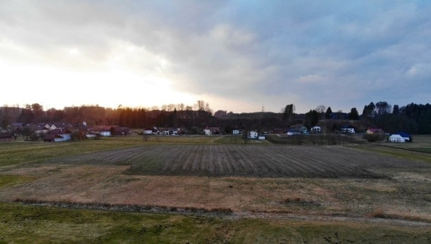 Auf diesem Gelände in Wagenham könnte die neue Sportanlage errichtet werden. (Bild: zVg)