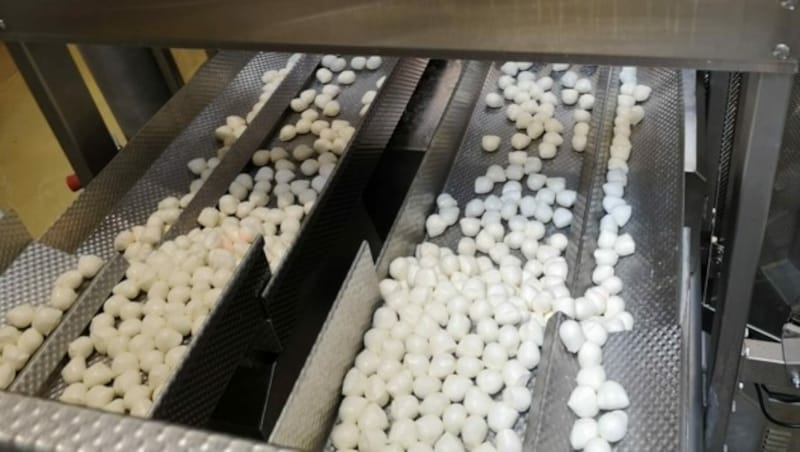 Die Berglandmilch verdoppelte in Feldkirchen bei Mattighofen die Mozzarella-Produktion. (Bild: Berglandmilch)