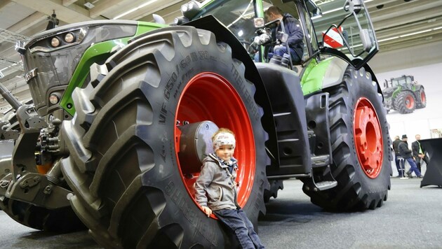 Johannes hat zielsicher den größten Traktor zu seinem Favorit erkoren. Der Vorderreifen des Fahrzeuges überragt nicht nur den Vierjährigen, sondern auch so manchen Erwachsenen. (Bild: Christof Birbaumer)