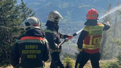 Die Wiener Berufsfeuerwehr beim Einsatz auf der Rax in Niederösterreich (Bild: Feuerwehr Stadt Wien)