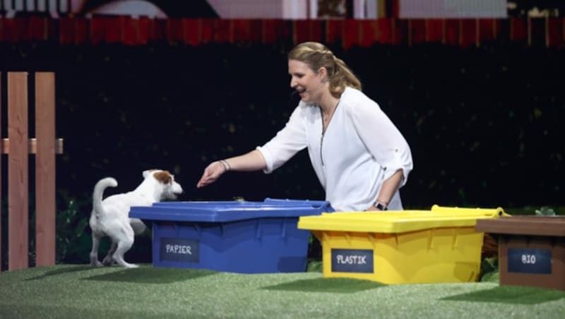 Vivian Hinz aus Main mit ihrem Jack Russell Terrier „Uno“ (Bild: Daniel Karmann / dpa / picturedesk.com)