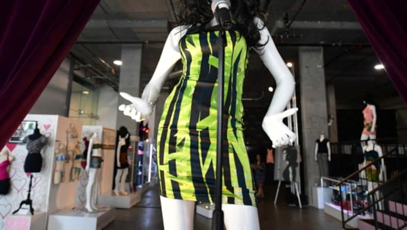 Das grün-schwarze Minikleid, das die Sängerin im Juni 2011 in Belgrad bei ihrem letzten offiziellen Konzert trug (Bild: APA/Photo by Frederic J. BROWN/AFP)