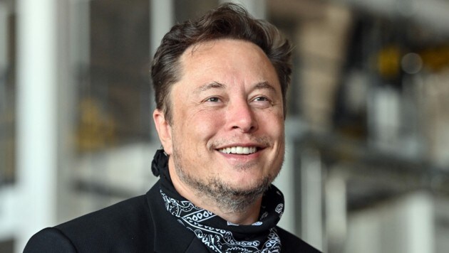 Tesla-Chef Elon Musk (Bild: dpa-Zentralbild/Patrick Pleul)