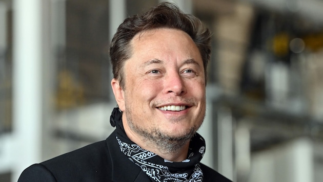 Tesla-Chef Elon Musk (Bild: APA/dpa-Zentralbild/Patrick Pleul)