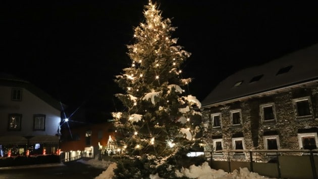 St. Johann sucht auch heuer wieder regionale Nadelbäume (Bild: Stadtgemeinde/Erwin Viehhauser)