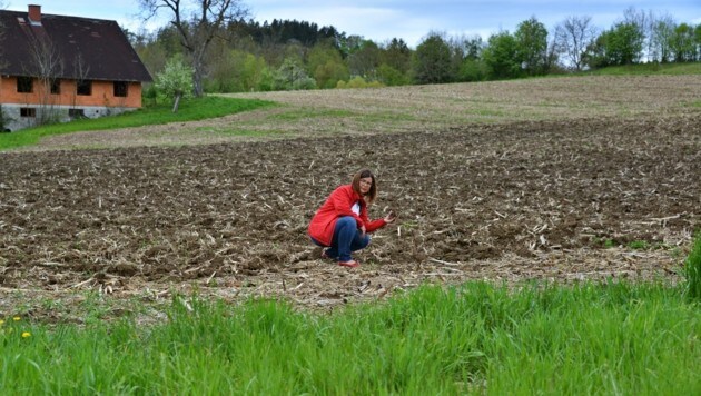 SPÖ-Vizebürgermeisterin Andrea Ohersthaller am angedachten Grundstück – vorläufig wird einmal nicht gebaut. (Bild: SPÖ Hart)