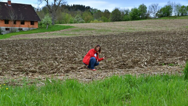 SPÖ-Vizebürgermeisterin Andrea Ohersthaller am angedachten Grundstück – vorläufig wird einmal nicht gebaut. (Bild: SPÖ Hart)
