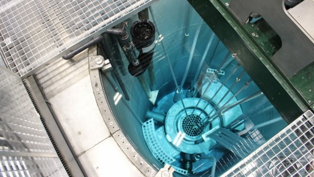 Blick ins Schwimmbecken: Ein Oberflächenfilter, wie er auch in Pools zum Einsatz kommt, sorgt für klares Kühlwasser im Reaktor. (Bild: Miriam Krammer)