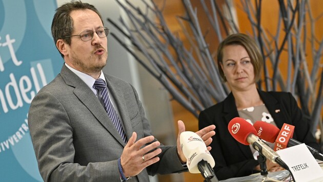 Rainer Trefelik (WKÖ, Bundesparte Handel) und Anita Palkovich (GPA, Wirtschaftsbereichssekretärin Handel) beim Start der KV-Verhandlungen (Bild: APA/Hans Punz)