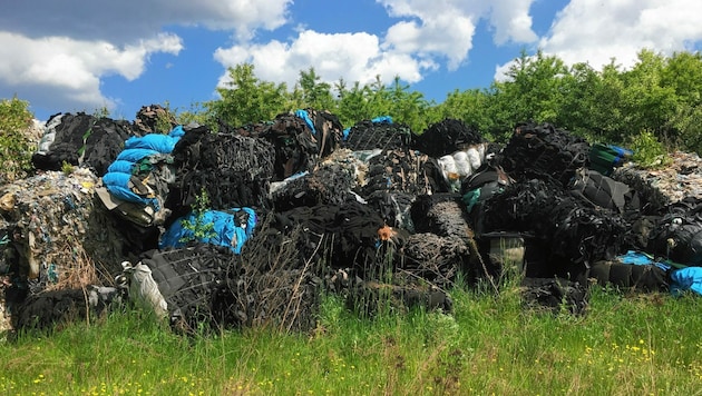 In und neben der Deponie lagerten und lagern riesige Müllberge mitten in der unberührten Natur. (Bild: Greenpeace)