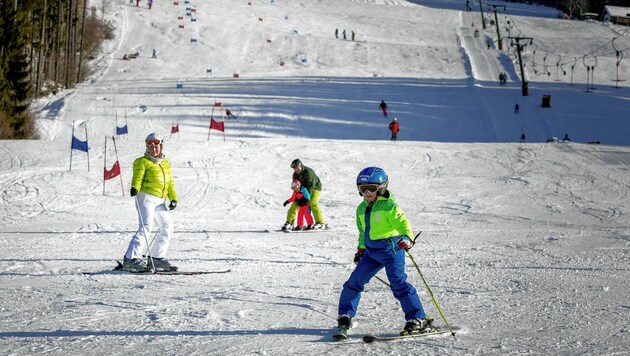 Skifahren in der Schwabenbergarena in Turnau (Bild: Steiermark Tourismus/Tom Lamm)