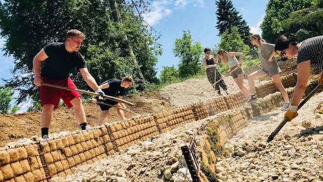 Bei den anstrengenden Arbeiten zur Errichtung der Grünen Klasse bewiesen die Jugendlichen des Stiftsgymnasiums Seitenstetten viel handwerkliches Geschick und Ausdauer. (Bild: Helmut Schmutzer)