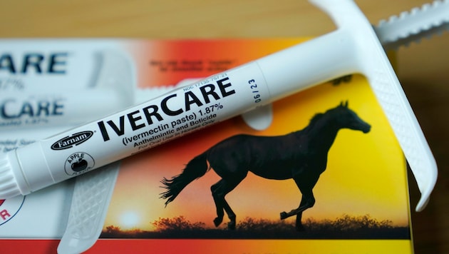 Ivermectin wird zur Entwurmung von z.B. Pferden eingesetzt. Bei Menschen kann es dagegen zu Vergiftungen führen. (Bild: AP)