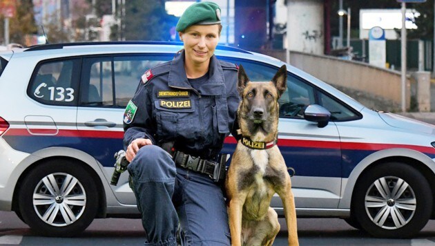 Revierinspektorin Theresa mit Diensthund „Fly Spirit of Graz“ (Bild: P. Huber LPD Stmk Krone/KREATIV)