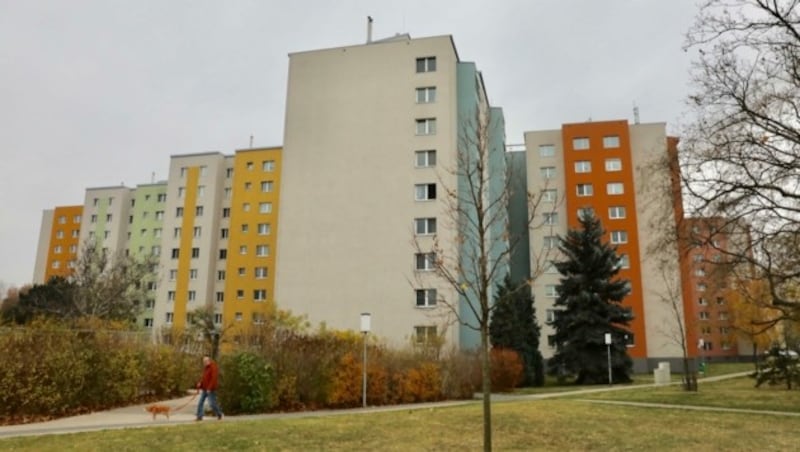 45 Wohnungen waren im Gemeindebau am Muhrhoferweg vom Rohrbruch betroffen. (Bild: Jöchl Martin)