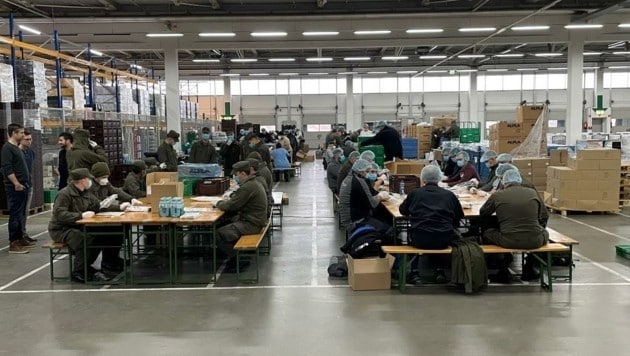 Soldaten helfen jetzt im Spar-Lager in Loosdorf mit, PCR-Tests für NÖ und OÖ abzupacken (Bild: Markus Waldner)