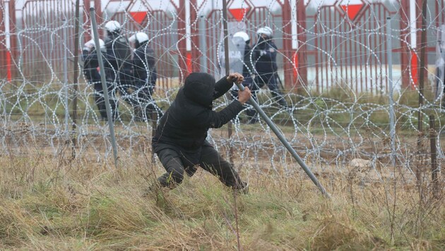 Bereits in den vergangenen Tagen versuchten Migranten, über die Grenze nach Polen zu gelangen. (Bild: APA/AFP/BELTA/Leonid SHCHEGLOV)