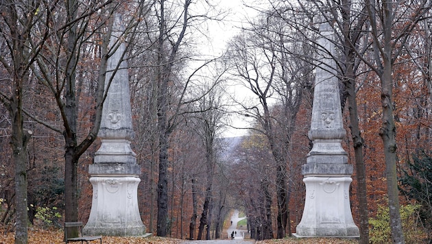 Die beiden Obelisken im Schwarzenbergpark soll Maria Theresia einst für eine Schaukel verwendet haben. (Bild: Reinhard HOLL)