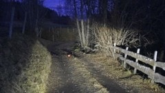 Auf diesem Feldweg passierte der tragische Unfall (Bild: Holitzky Roland)