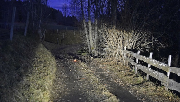 Auf diesem Feldweg passierte der tragische Unfall (Bild: Holitzky Roland)