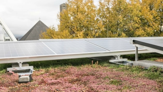 Fotovoltaik und Begrünung zieren das Dach der Schulen (Bild: wildbild, Foto: Wildbild)