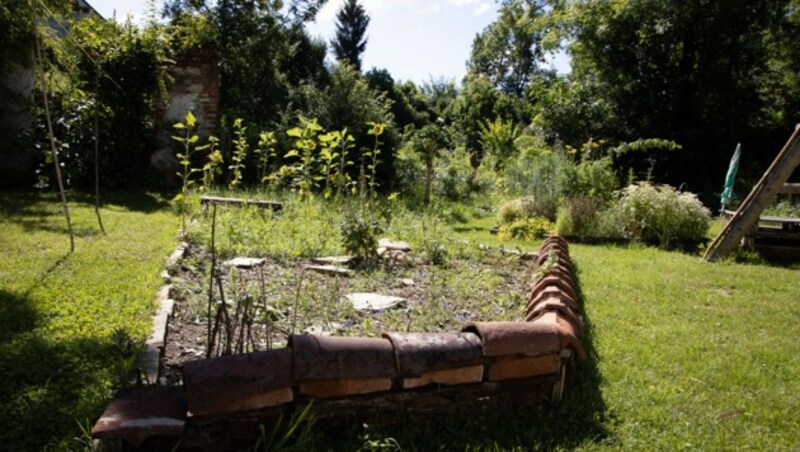 In diesem Wildbienen-freundlich gestalteten Garten wurde die neue Bienenart entdeckt. (Bild: Karim Strohriegel)