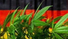 Cannabis soll in Deutschland bald für alle ab 18 legal erhältlich sein. (Bild: creativefamily - stock.adobe.com)