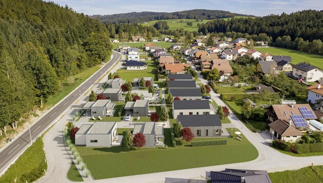 So soll die geplante Mikrohaus-Siedlung in Lengau aussehen. (Bild: ZVG)