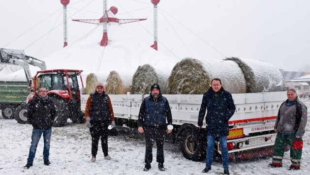 Der Schneefall verschärft das Problem, Bürgermeister Matthias Stadler (2.v.r.) half auch bereits. (Bild: MEDIENSERVICE MAGISTRAT ST.POELTEN JOSEF VORLAuFER)