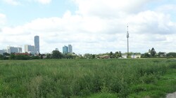 Der Verein Freies Donaufeld will möglichst viel Grünraum erhalten. (Bild: Tomschi Peter)