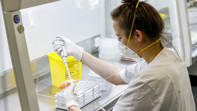 Alle positiven PCR-Proben werden in Salzburg auf die neue „Omikron“-Mutation überprüft. (Bild: Tschepp Markus)