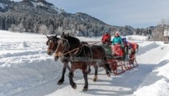 Die Wintersaison soll auch in Kärnten die Betten füllen. (Bild: tinefoto.com | martin steinthaler)