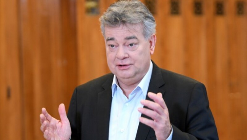 Vizekanzler Werner Kogler (Bild: APA/ROLAND SCHLAGER)