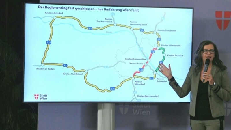 Planungsstadträtin Ulli Sima hält die Absage für den Lobautunnel für einen Fehler. (Bild: APA/Roland Schlager)