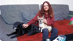 Monika Asani verfügt über geringe Budgetmittel - ihre Hunde sind ihr Lebensanker! (Bild: Reinhard Holl)