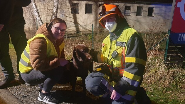 Große Aufregung für Labradorrüde Simba: er war in einem Unfallauto eingeschlossen und wurde von Feuerwehrleuten befreit. (Bild: FF Fürstenfeld)