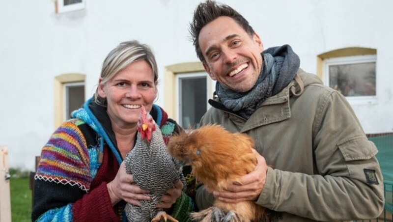 Tricky Niki unterstützt Margarethe Weiss-Beck bei Erhaltung und Ausbau des Therapiehofes Regenbogental in Leobersdorf. (Bild: Doris Seebacher)