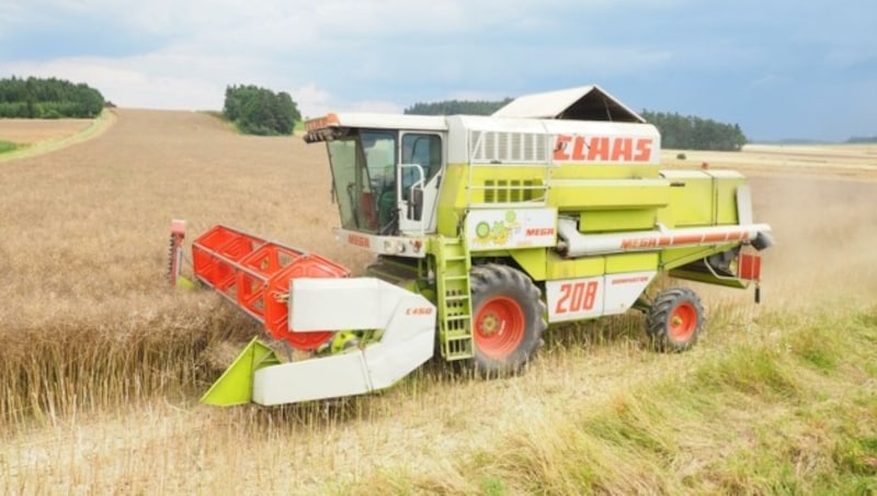 Weizen wird teurer – und zwar auf dem Weg vom Feld ins Getreidelager und dann in die Backstuben sowie weiter in den Verkauf. Die Bauern verdienen aber nur vier Prozent vom endgültigen Preis des knusprigen Semmerls. (Bild: Gabriele Moser)