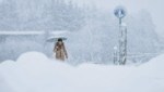 In Salzburg schneite es am Sonntag bereits kräftig. (Bild: APA/EXPA/JFK)